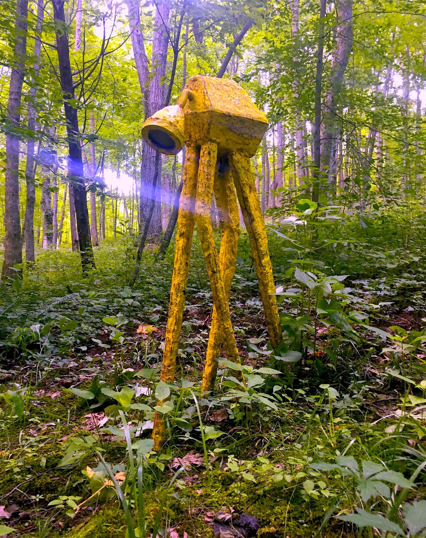 Samantha Leopold-Sullivan